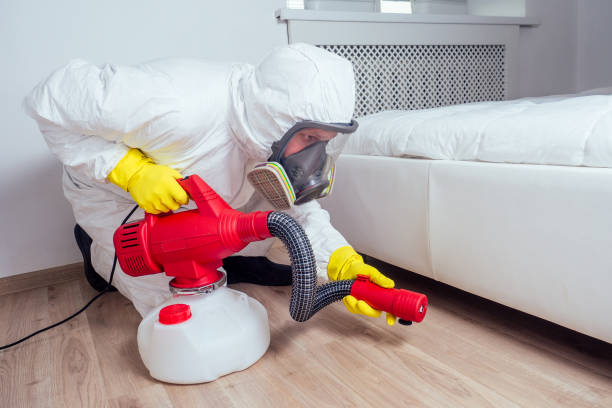Best Mosquito Control Services  in Kensington Park, FL