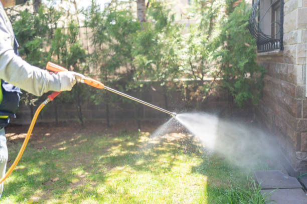 Best Best Pest Control Companies  in Kensington Park, FL