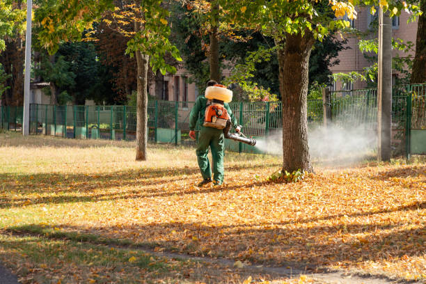 Pest Control Cost in Kensington Park, FL